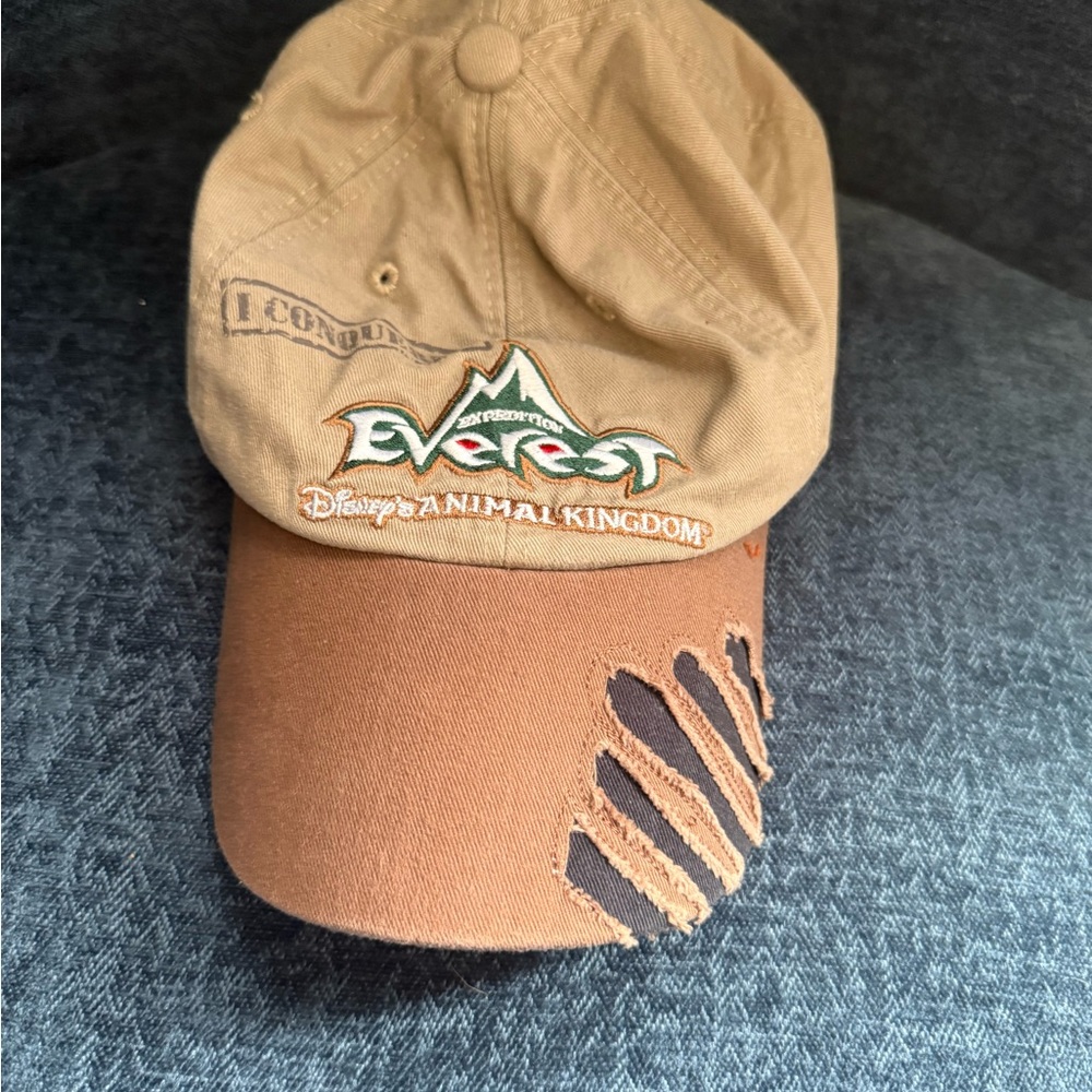 Disney Brown Everest Cap